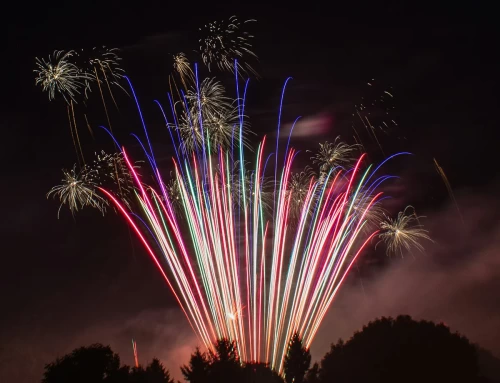 Organizational Lessons from Independence Day